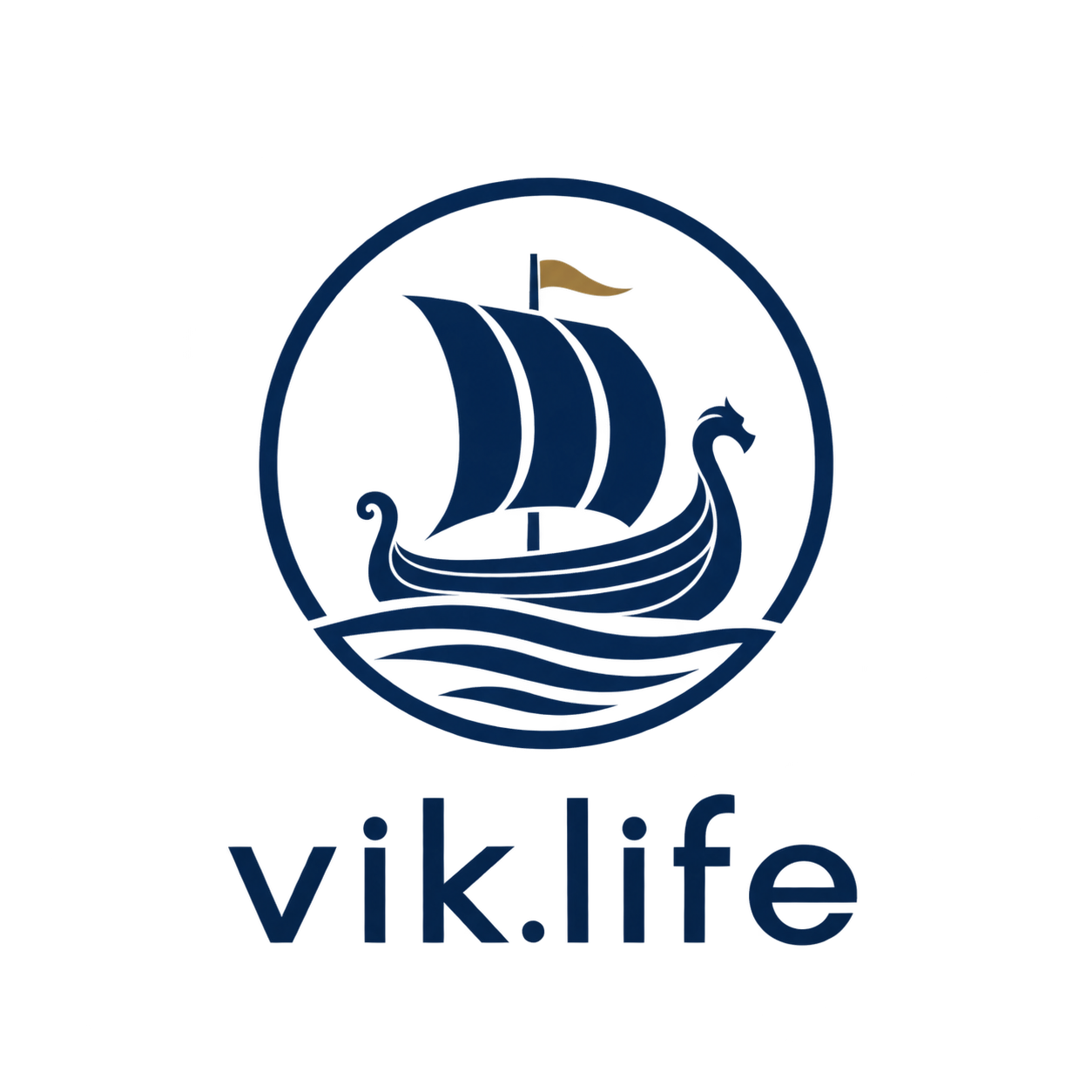 VIK.LIFE drakkar logo